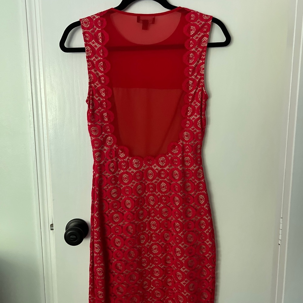 Beautiful Bebe dress worn only once, mesh low cut back